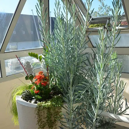 Ortel Gmbh מלון 2*