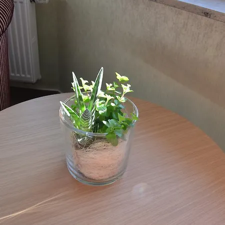 Hotell Ortel Gmbh Besigheim