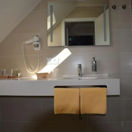 Ortel Gmbh מלון בסיגהיים